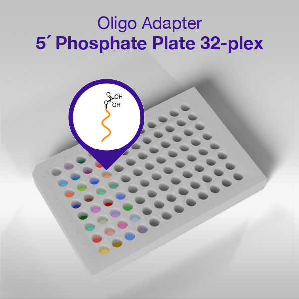 Oligo Adapter 5 Phosphate 96-well plate, 32-plex panel, 33 sequence-colored wells