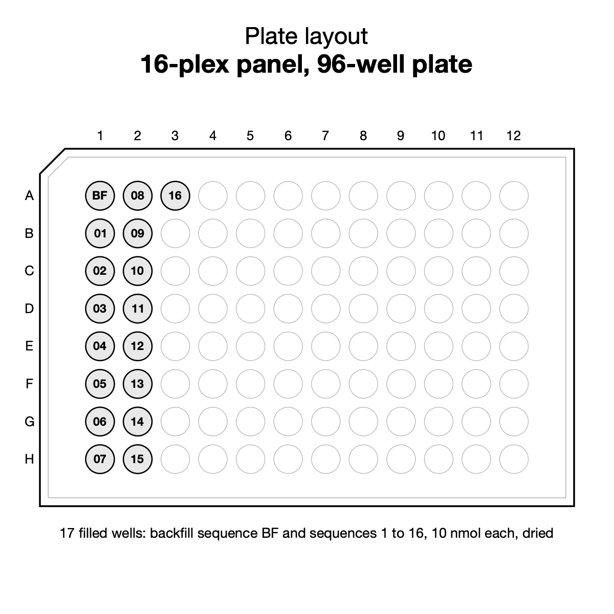 Plate layout, 16-plex panel: 17 filled wells, backfill sequence BF and sequences 1 to 16, 10 nmol each, dried
