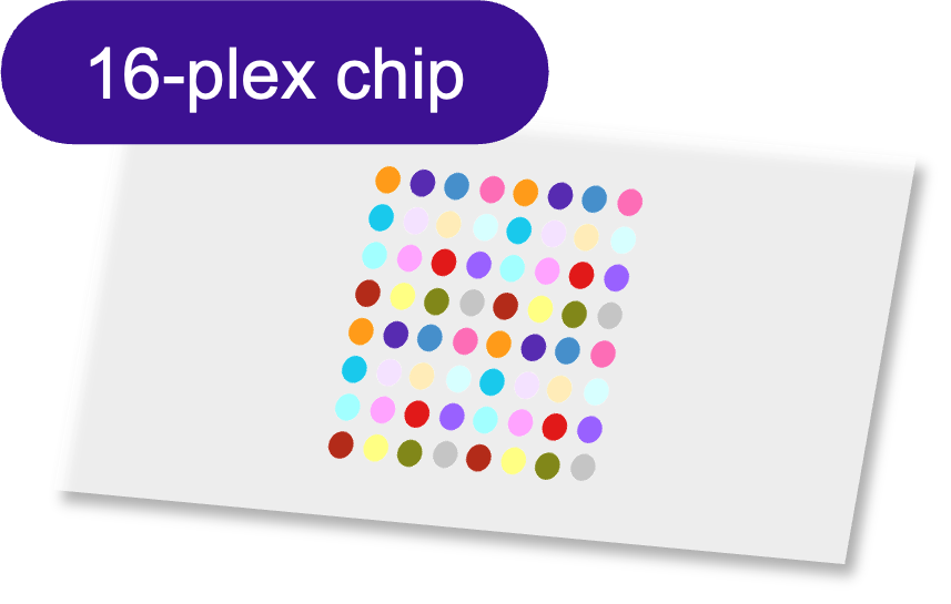 Sensor - 2D PEG - [Oligo|Oligo] - 16 plex
