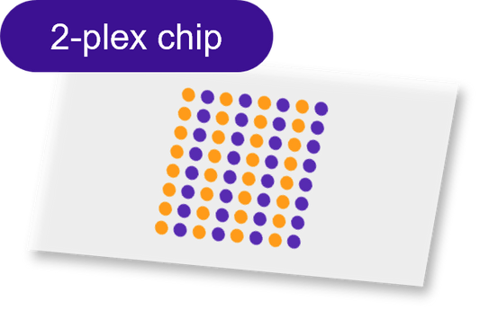 Sensor - 2D PEG - [Oligo|Oligo] - 2 plex