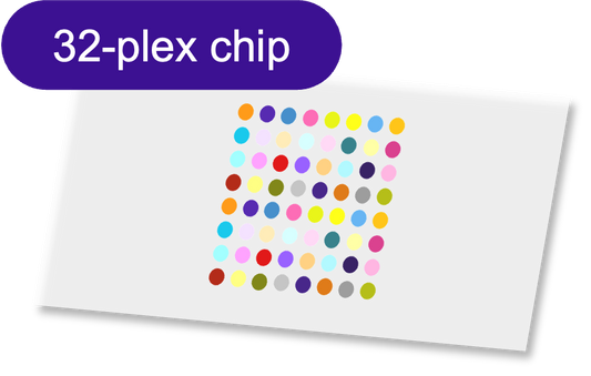 Sensor - 2D PEG - [Oligo|Oligo] - 32 plex