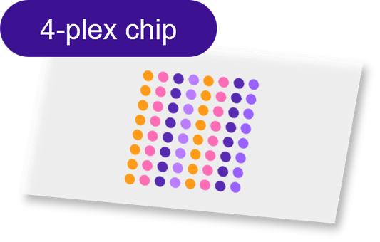 Sensor - 2D PEG - [Oligo|Oligo] - 4 plex