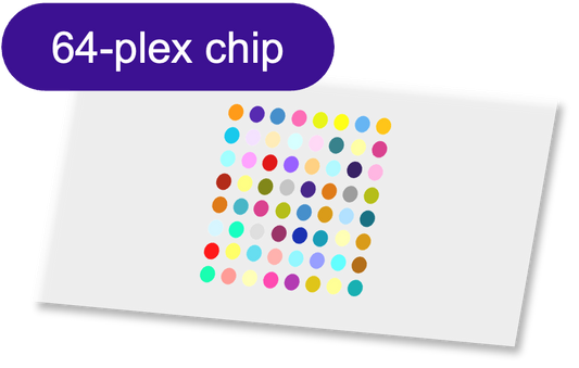 Sensor - 2D PEG - [Oligo|Oligo] - 64 plex
