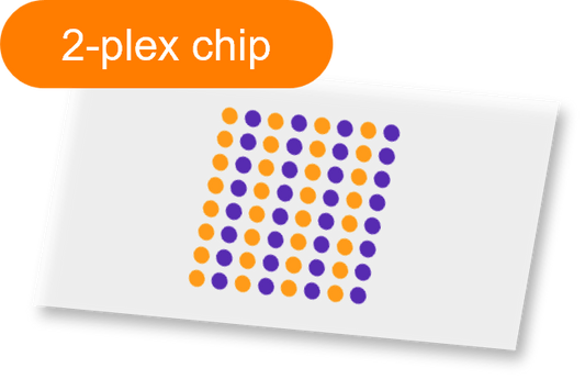 Sensor - 2D PEG - [Oligo|PEG] - 2 plex