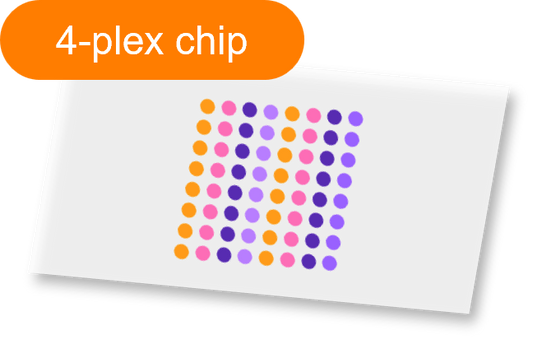 Sensor - 2D PEG - [Oligo|PEG] - 4 plex