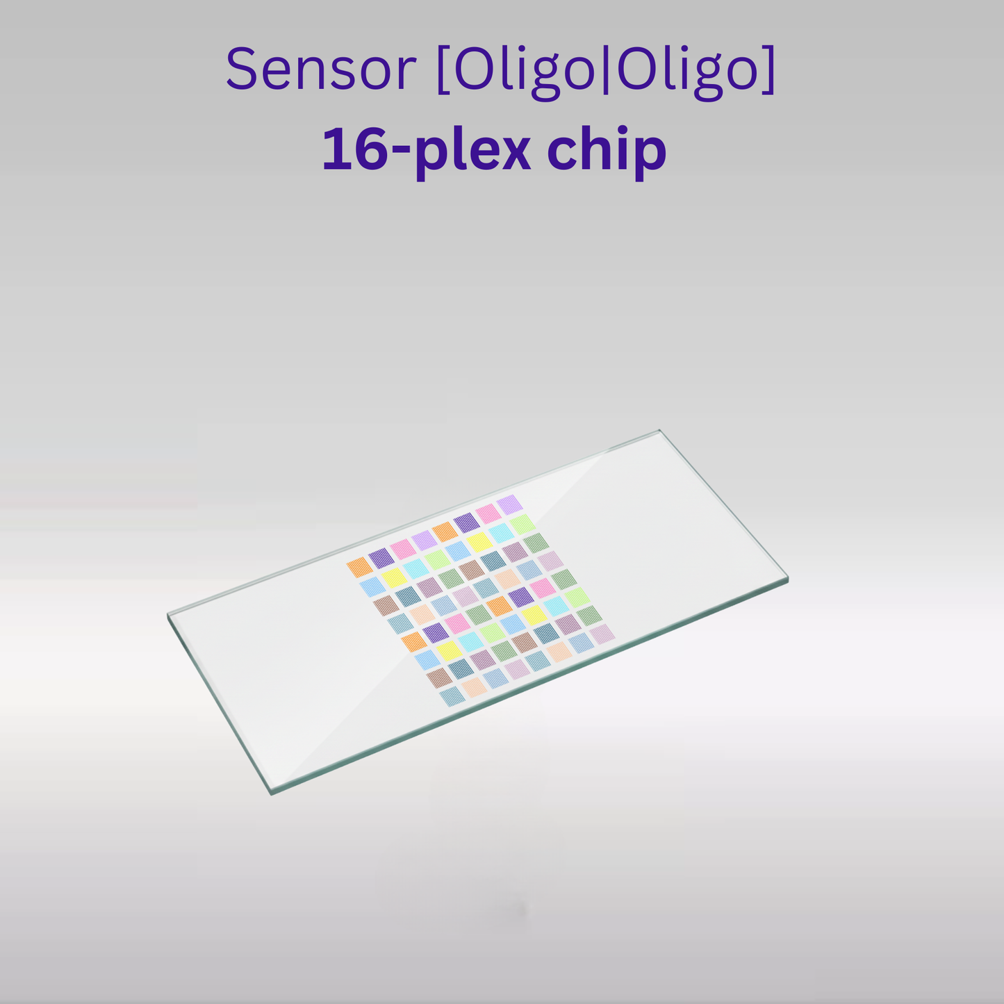 Sensor - 2D PEG - [Oligo|Oligo] - 16 plex