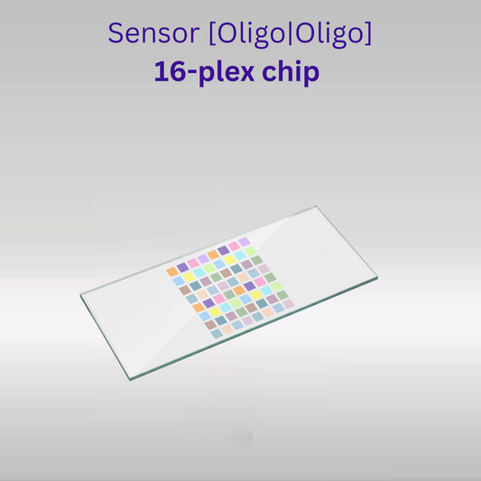 Sensor - 2D PEG - [Oligo|Oligo] - 16 plex