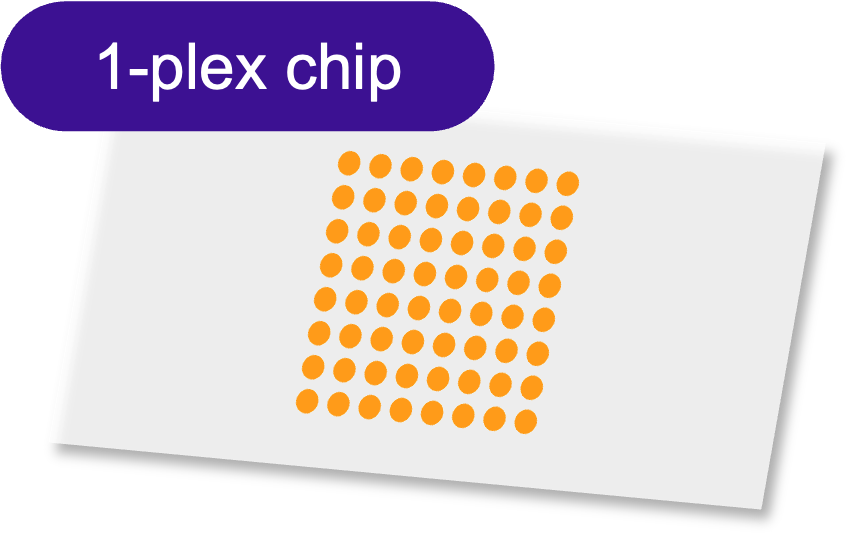 Sensor - 2D PEG - [Oligo|Oligo] - 1 plex