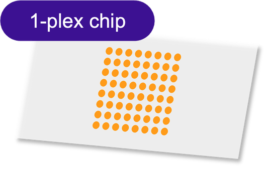 Sensor - 2D PEG - [Oligo|Oligo] - 1 plex