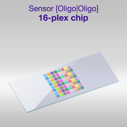 Sensor 2D PEG Oligo-Oligo 16-plex chip, one color per oligo sequence