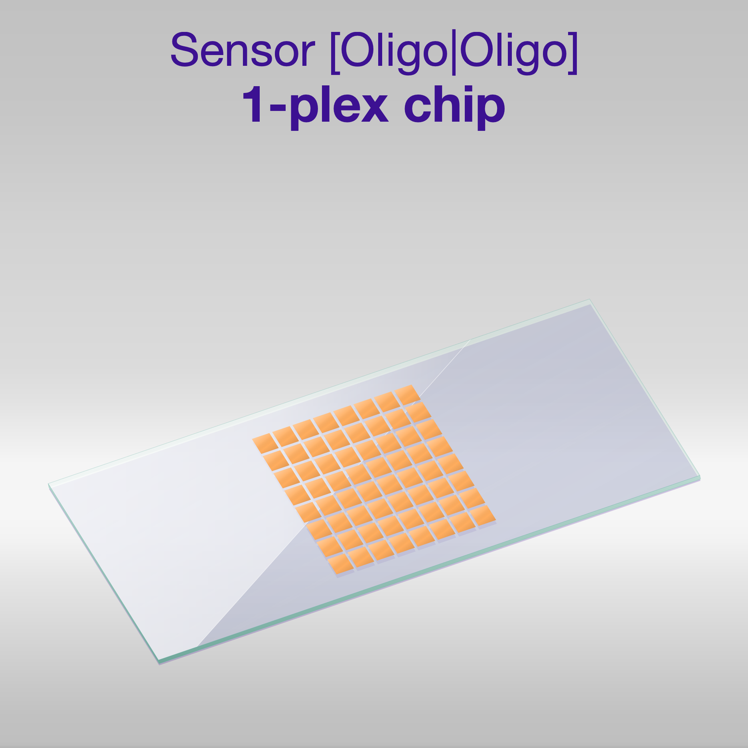 Sensor 2D PEG Oligo-Oligo 1-plex chip, one colour per oligo sequence
