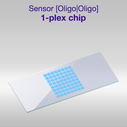 Sensor 2D PEG Oligo-Oligo 1-plex chip, one color per oligo sequence