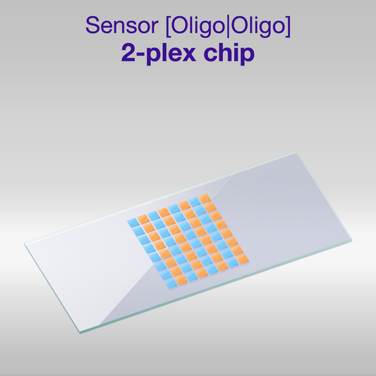 Sensor 2D PEG Oligo-Oligo 2-plex chip, one color per oligo sequence