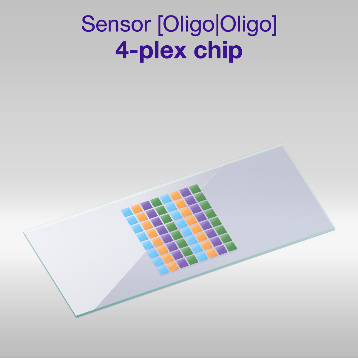 Sensor 2D PEG Oligo-Oligo 4-plex chip, one color per oligo sequence