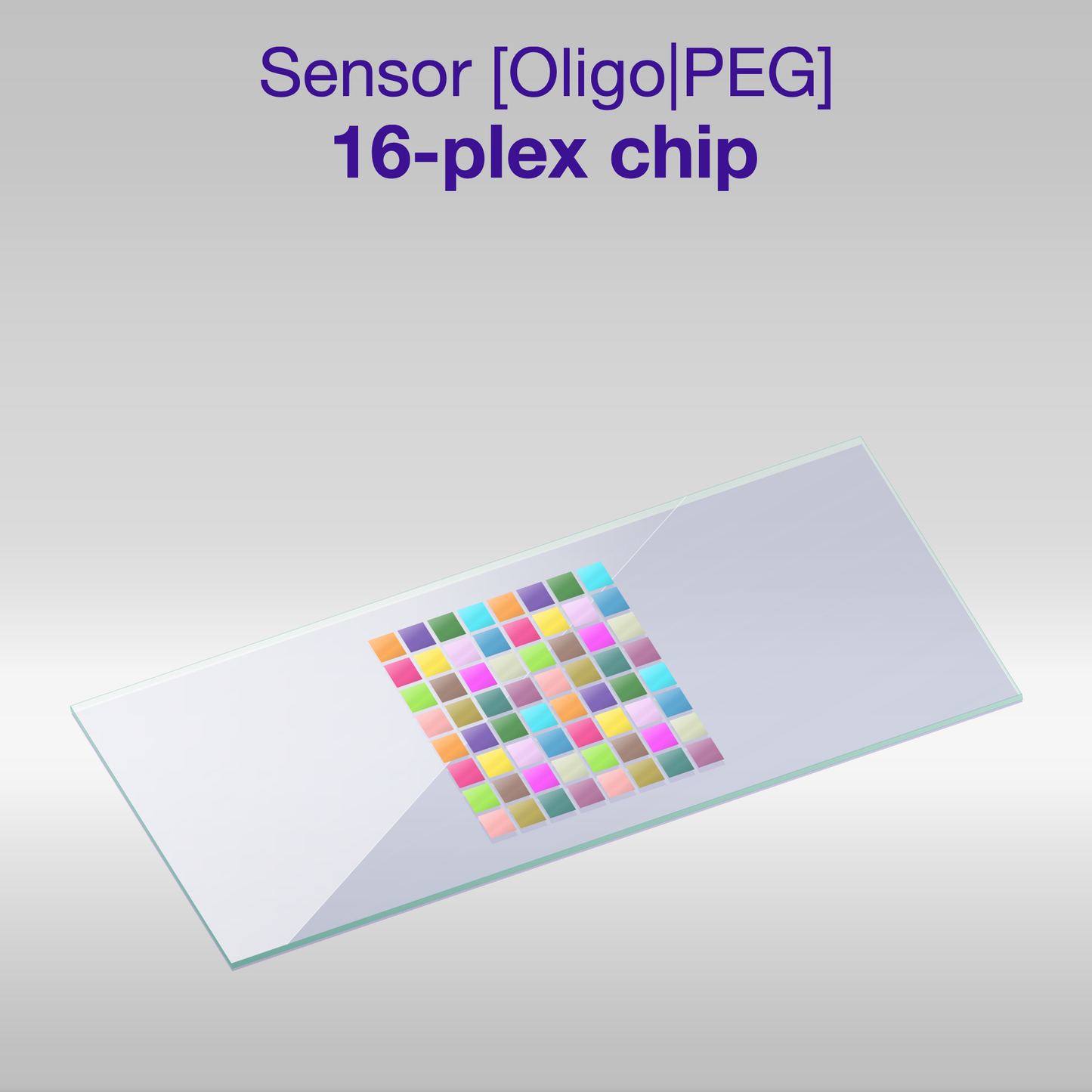 Sensor 2D PEG Oligo-PEG 16-plex chip, one colour per oligo sequence