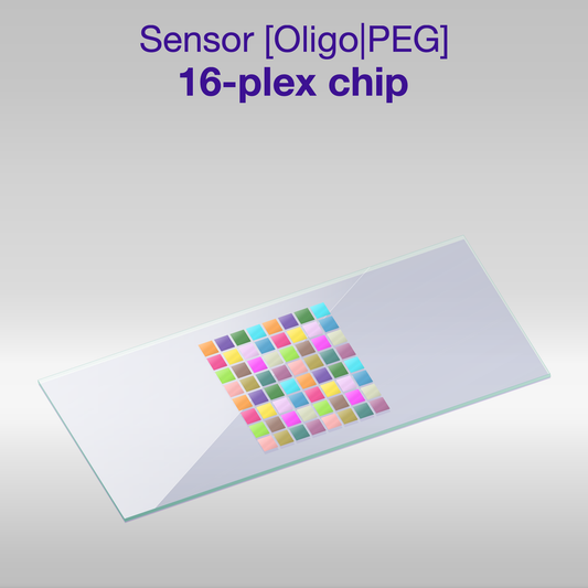 Sensor 2D PEG Oligo-PEG 16-plex chip, one colour per oligo sequence