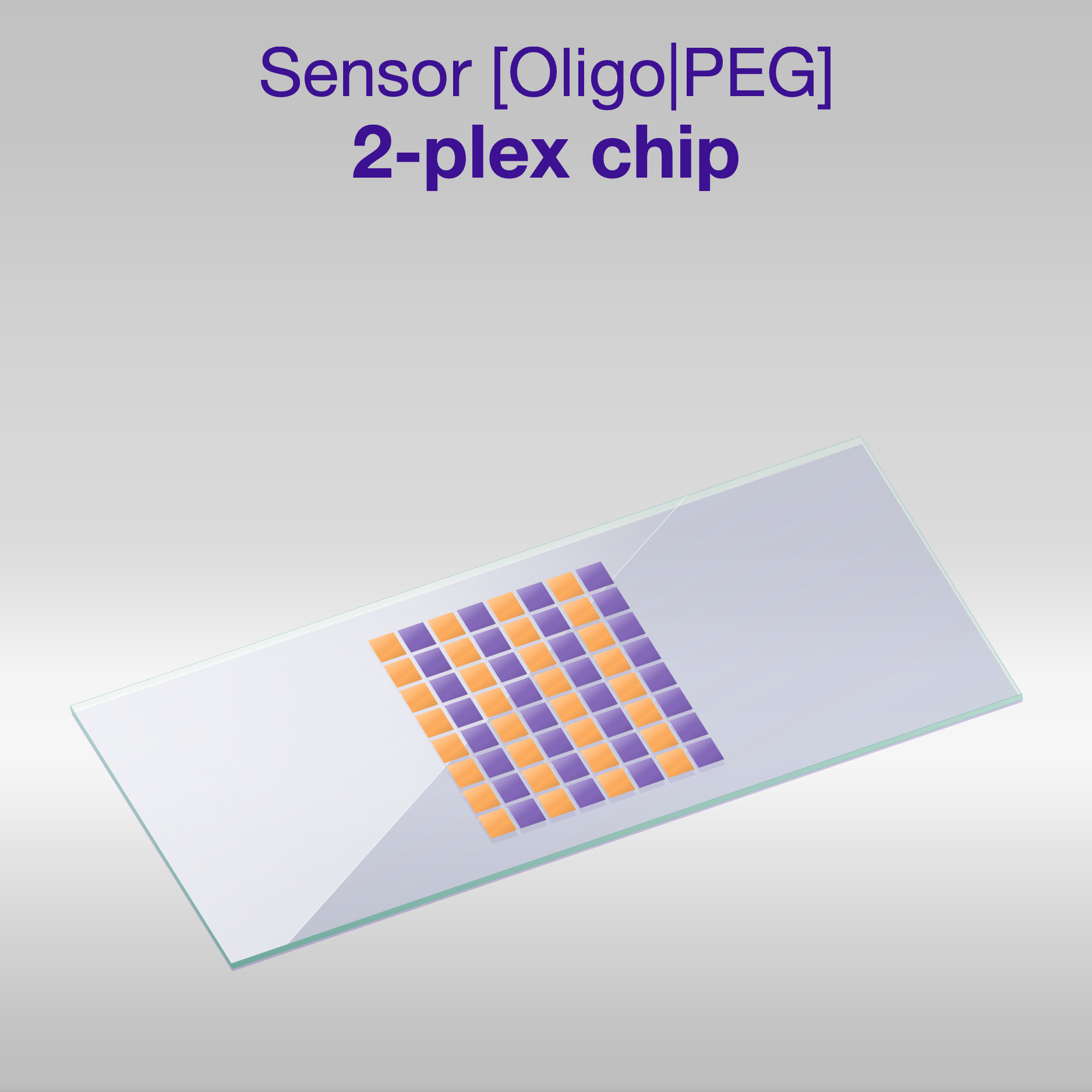 Sensor 2D PEG Oligo-PEG 2-plex chip, one colour per oligo sequence