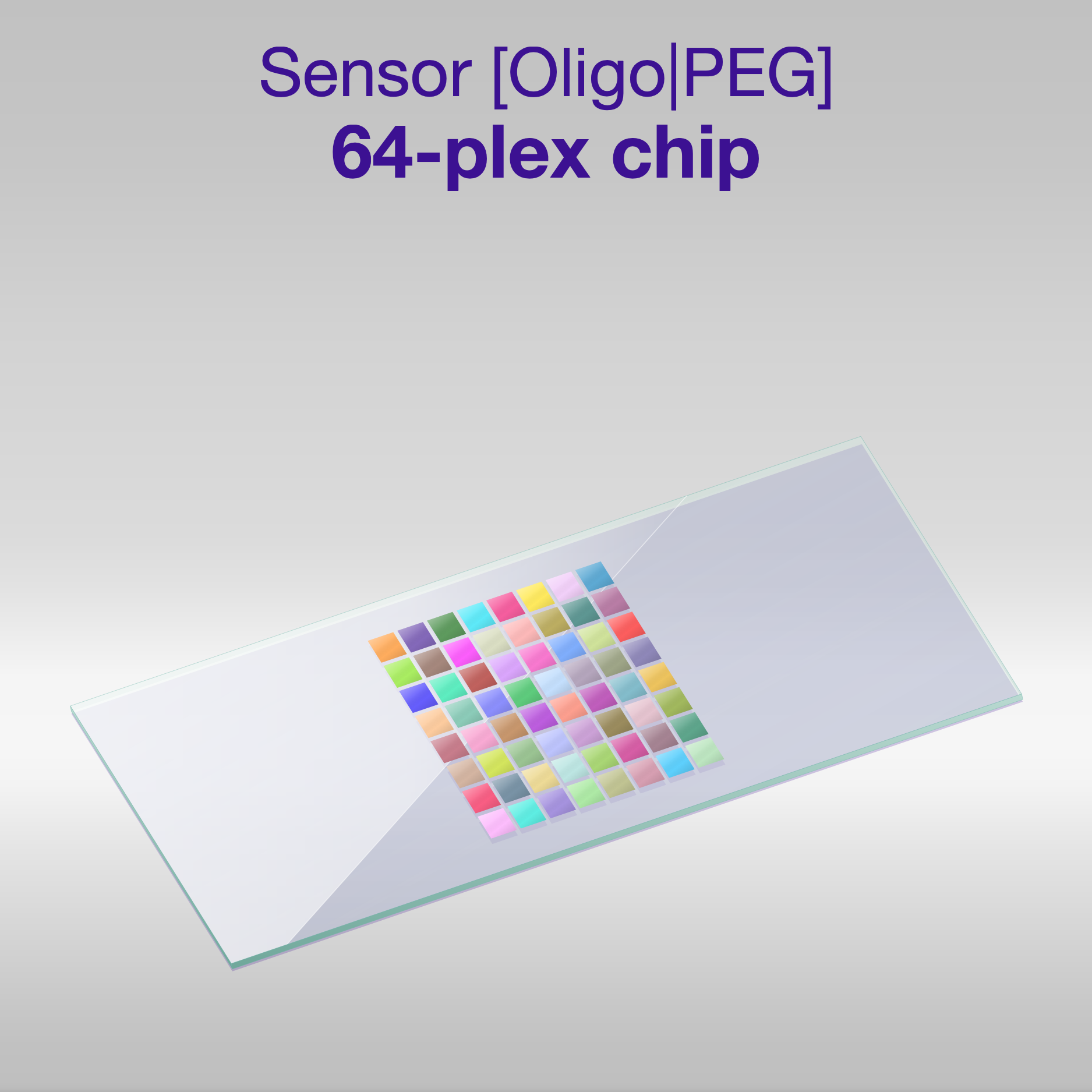 Sensor 2D PEG Oligo-PEG 64-plex chip, one colour per oligo sequence