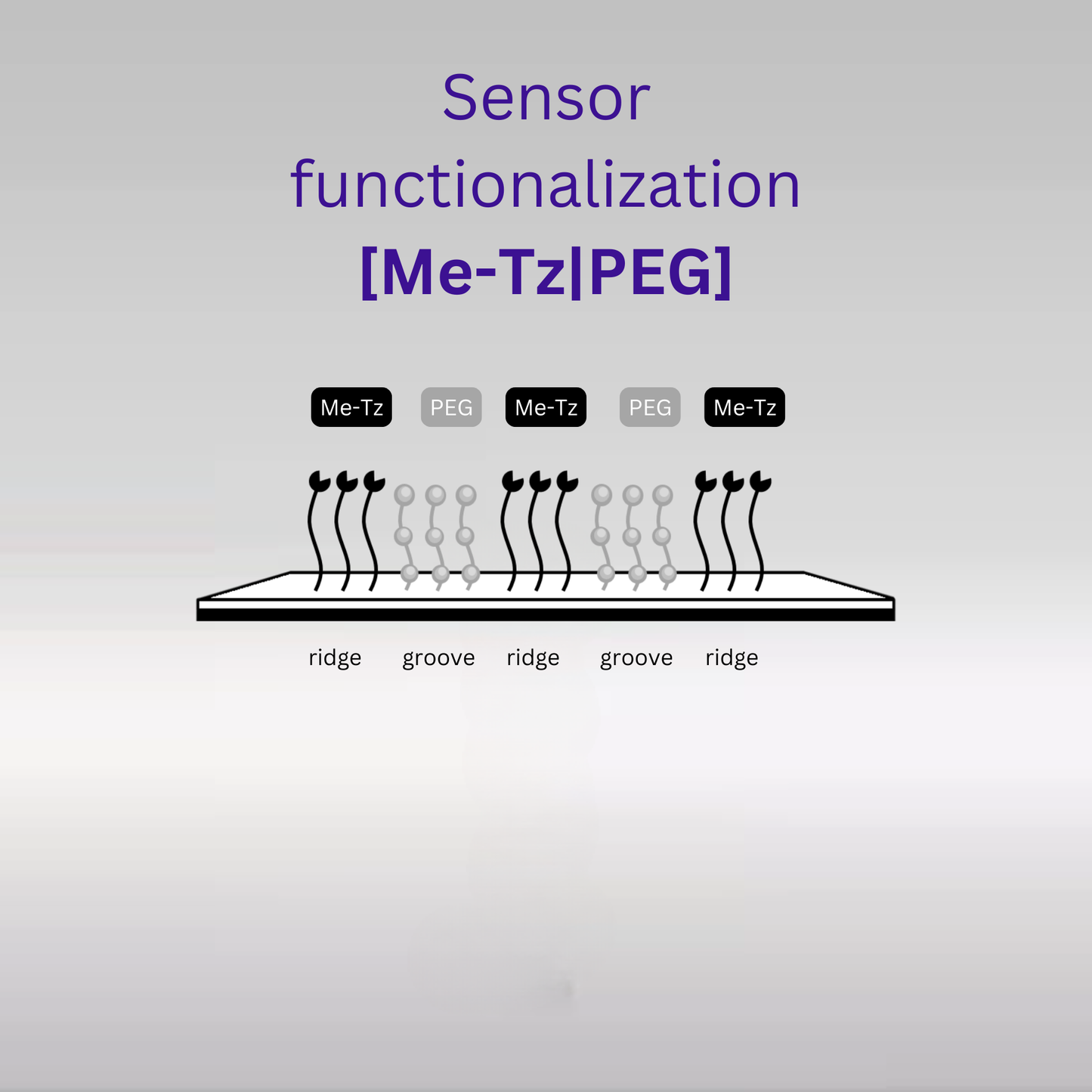 Sensor - 2D PEG - [Me-Tz|PEG] - 1 plex