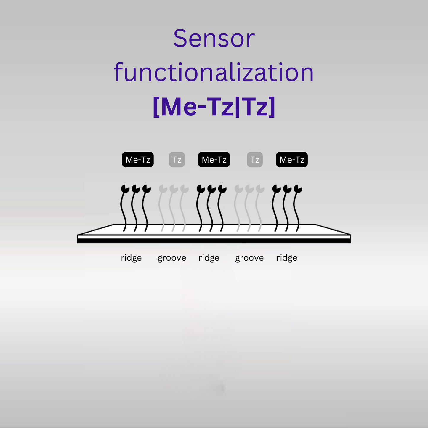 Sensor - 2D PEG - [Me-Tz|Tz] - 1 plex