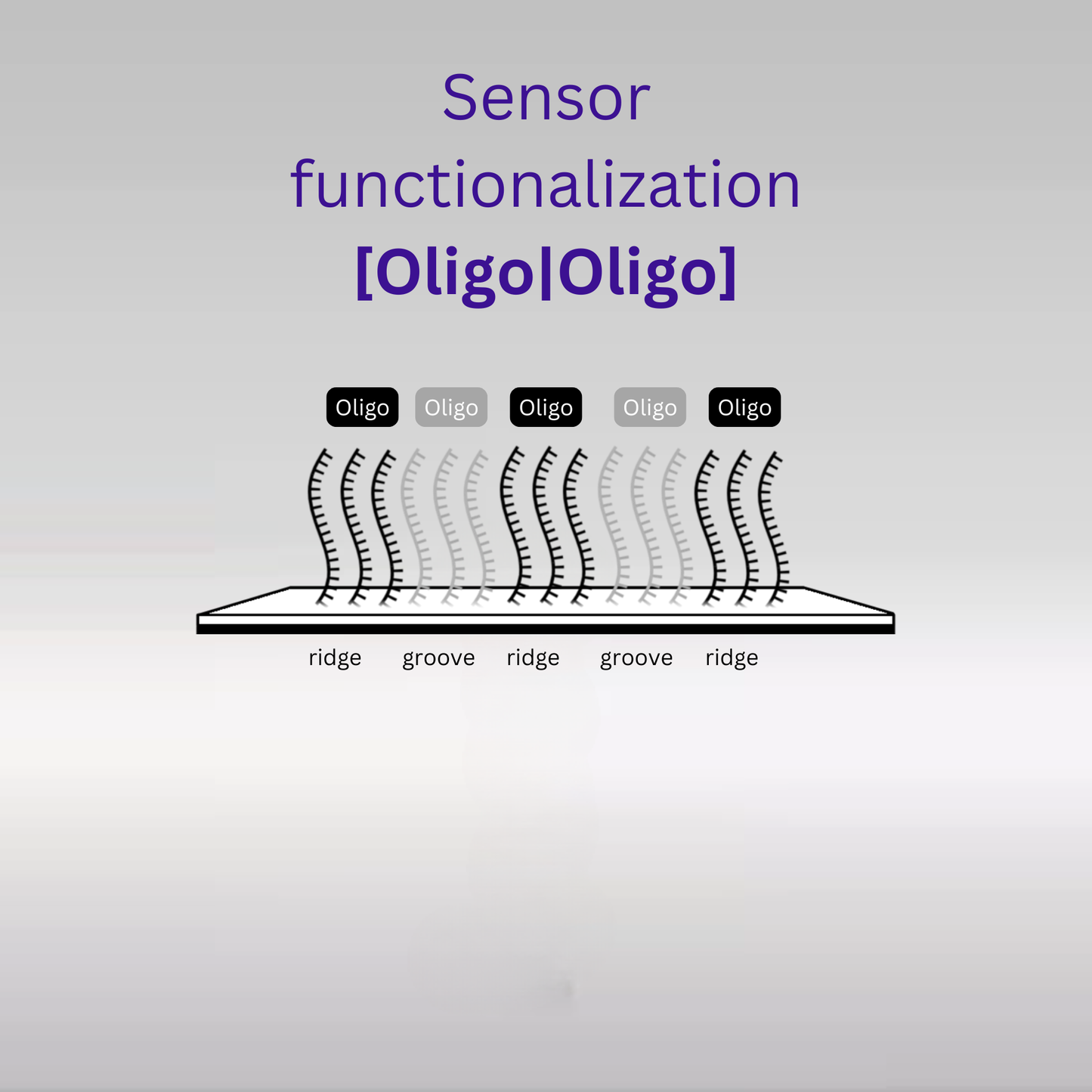 Sensor - 2D PEG - [Oligo|Oligo] - 8 plex