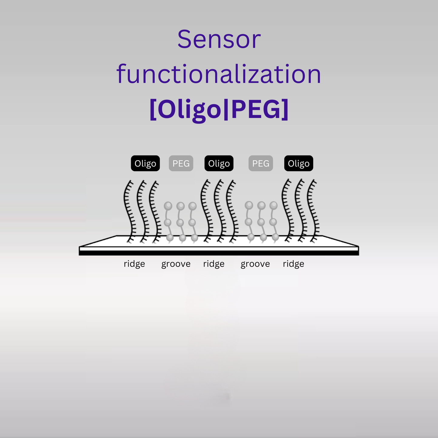 Sensor - 2D PEG - [Oligo|PEG] - 8 plex