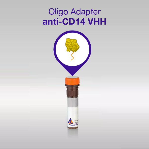 Oligo Adapter anti-CD14 VHH, sequence 07