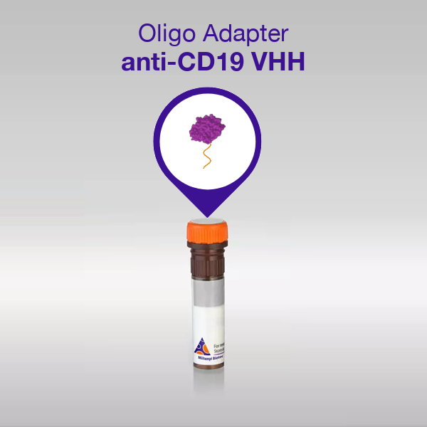 Oligo Adapter CD19 VHH product image