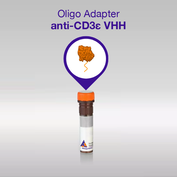 Oligo Adapter anti-CD3ε VHH, sequence 02
