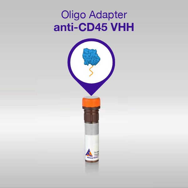 Oligo Adapter anti-CD45 VHH, sequence 01