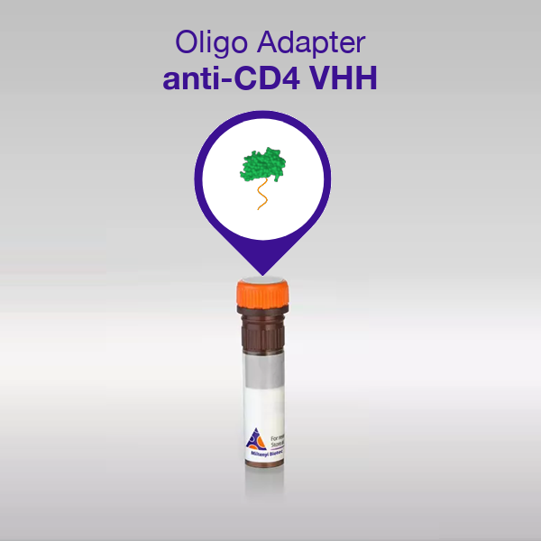 Oligo Adapter CD4 VHH product image