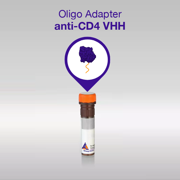 Oligo Adapter anti-CD4 VHH, sequence 03
