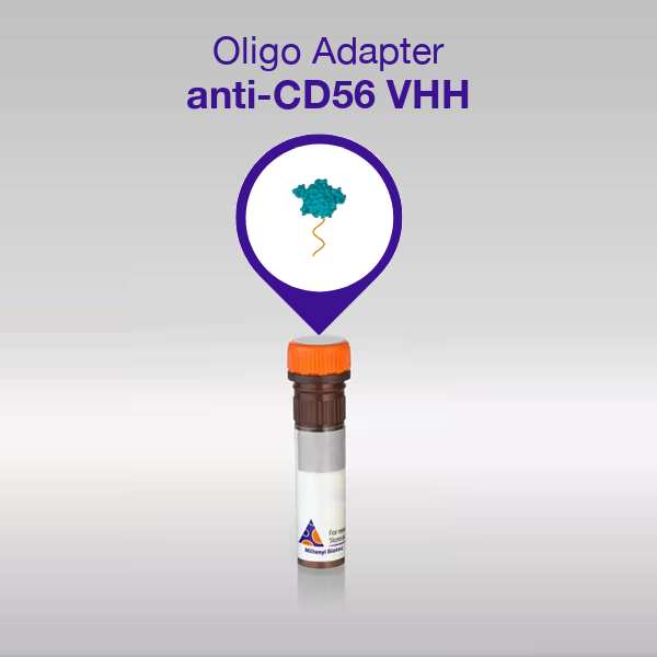Oligo Adapter CD56 VHH product image