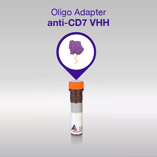 Oligo Adapter anti-CD7 VHH, sequence 08