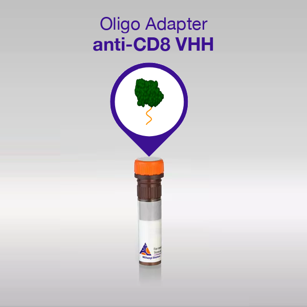 Oligo Adapter anti-CD8 VHH, sequence 04